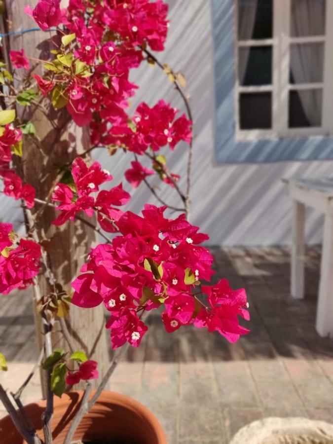 Casa Largo Do Poco Guesthouse Алвор Экстерьер фото